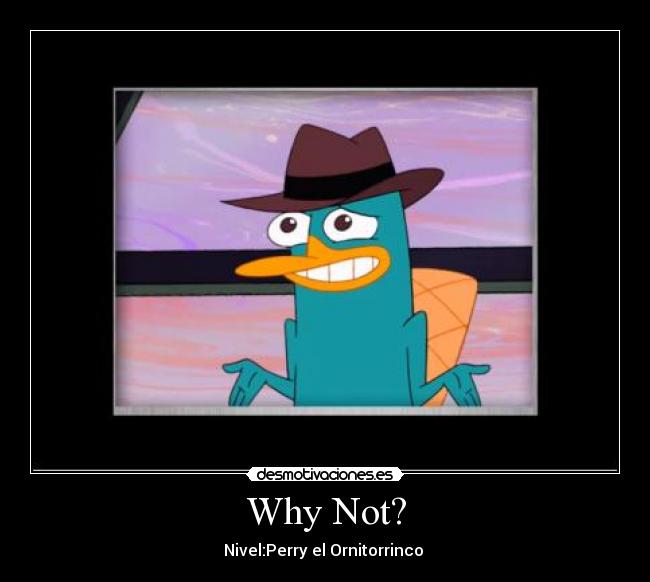 Why Not? - Nivel:Perry el Ornitorrinco 