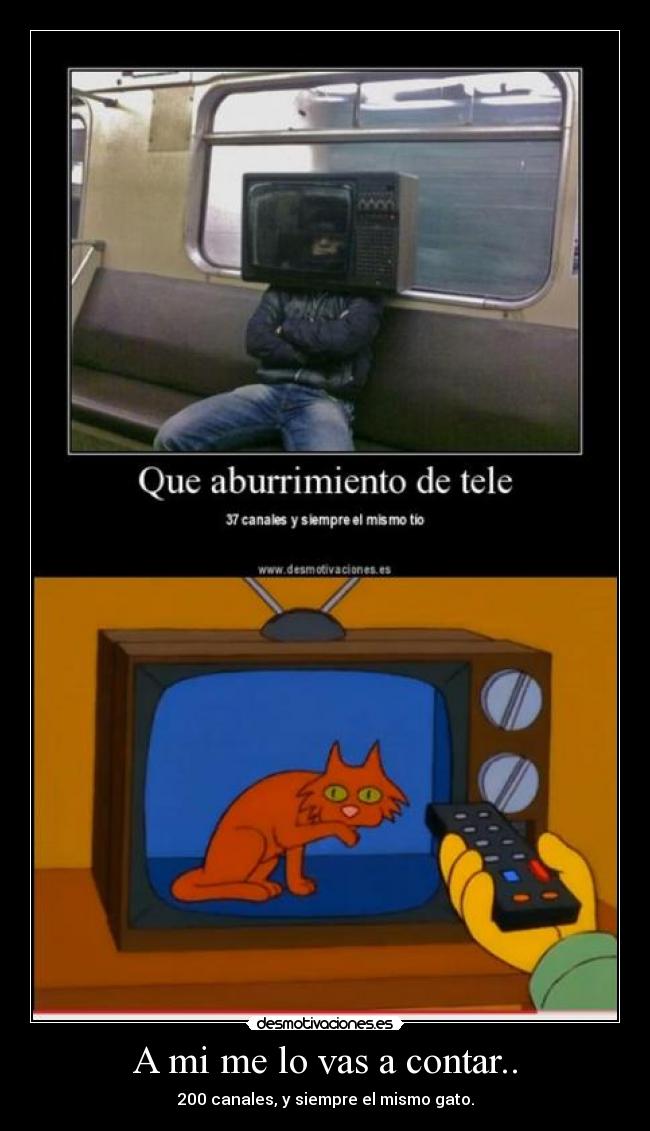 A mi me lo vas a contar.. - 200 canales, y siempre el mismo gato.