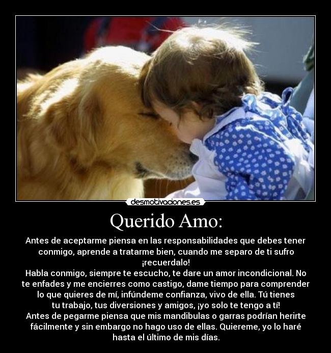 carteles perro desmotivaciones