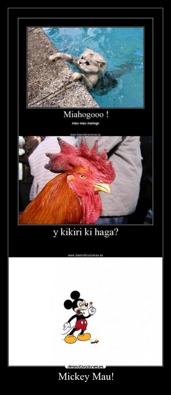 Mickey Mau! -