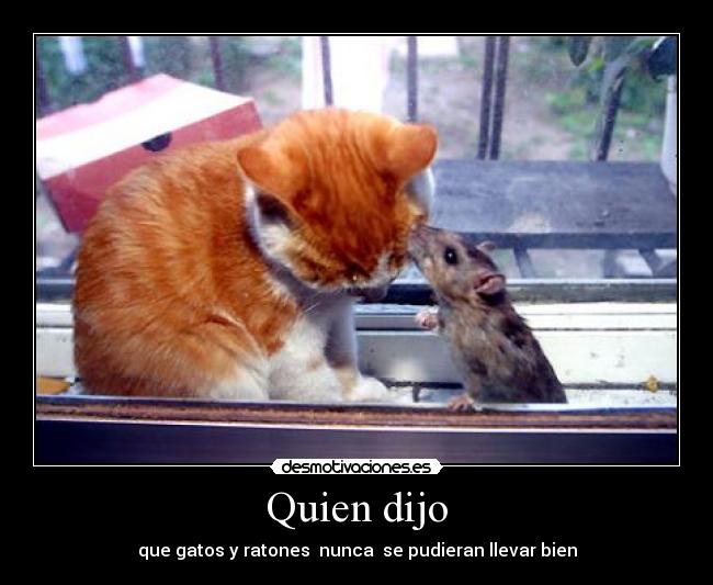 Quien dijo - 