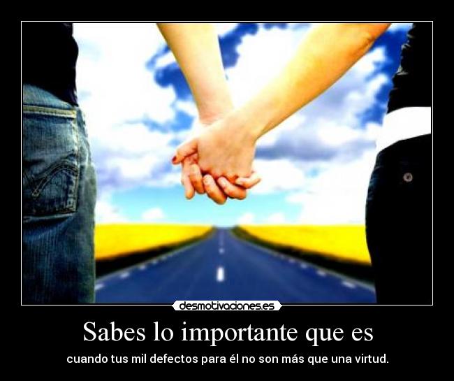 carteles defectos virtudes desmotivaciones