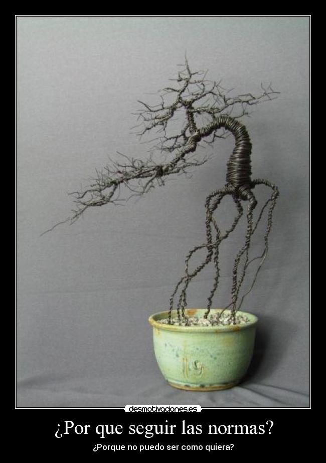 ¿Por que seguir las normas? - 