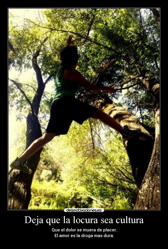 Deja que la locura sea cultura -