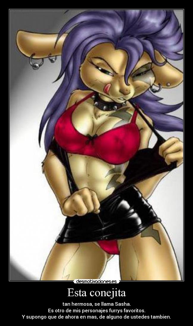 Esta conejita - tan hermosa, se llama Sasha.
Es otro de mis personajes furrys favoritos.
Y supongo que de ahora en mas, de alguno de ustedes tambien.