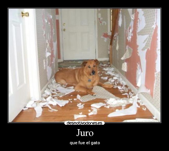 Juro - 
