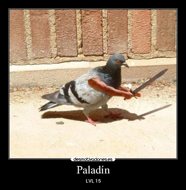 carteles paloma paladin desmotivaciones