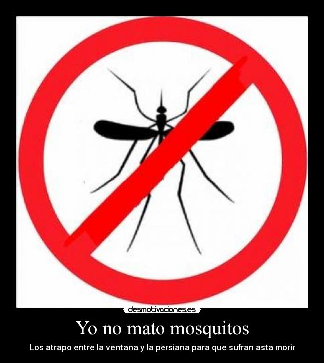 Yo no mato mosquitos - 