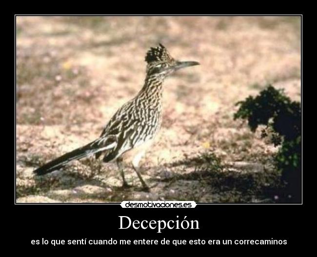 Decepción -