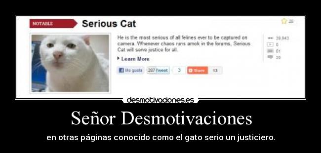 Señor Desmotivaciones - en otras páginas conocido como el gato serio un justiciero.