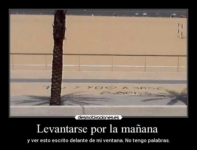 Levantarse por la mañana  - y ver esto escrito delante de mi ventana. No tengo palabras.