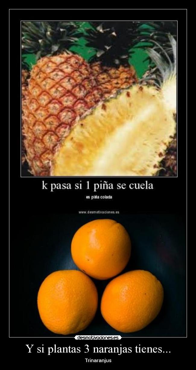 Y si plantas 3 naranjas tienes... - 