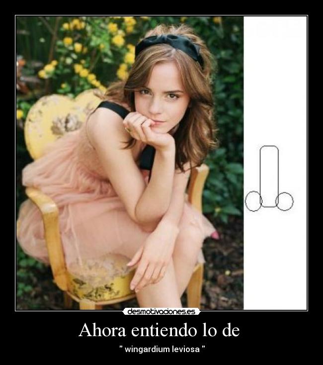 Ahora entiendo lo de  -  wingardium leviosa 