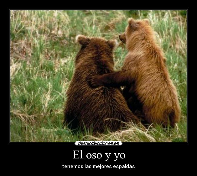 El oso y yo - tenemos las mejores espaldas