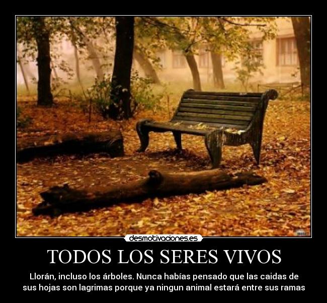 TODOS LOS SERES VIVOS -