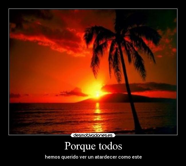 Porque todos - 