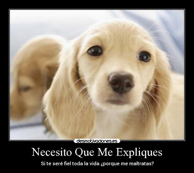 Necesito Que Me Expliques - 