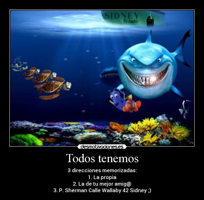 carteles nemo direcciones memorizadas sherman calle wallaby sidney desmotivaciones