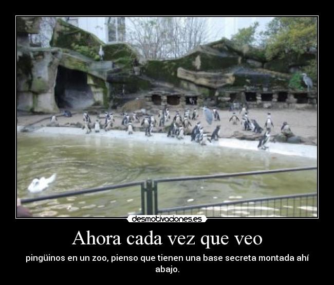 Ahora cada vez que veo - 