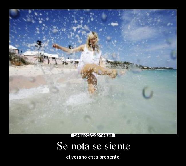 Se nota se siente - el verano esta presente!