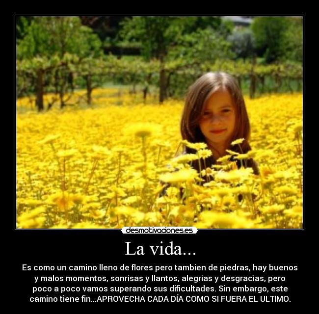 La vida... -