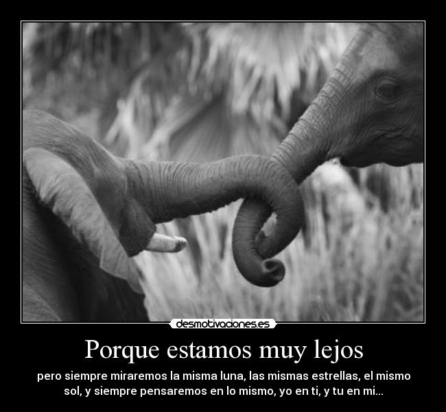 Porque estamos muy lejos -