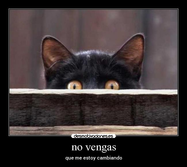 no vengas - 