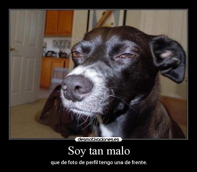 Soy tan malo - 