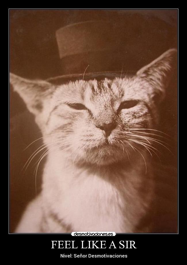FEEL LIKE A SIR -
