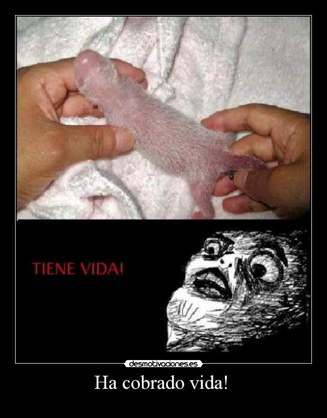 Ha cobrado vida!  - 