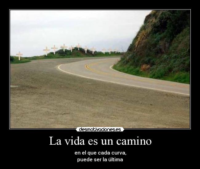 La vida es un camino -