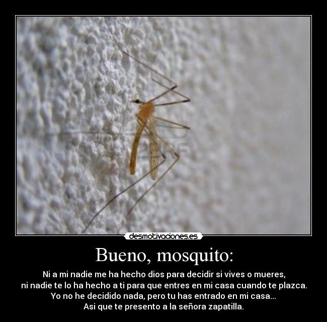 Bueno, mosquito: - Ni a mi nadie me ha hecho dios para decidir si vives o mueres,
ni nadie te lo ha hecho a ti para que entres en mi casa cuando te plazca.
Yo no he decidido nada, pero tu has entrado en mi casa...
Asi que te presento a la señora zapatilla.