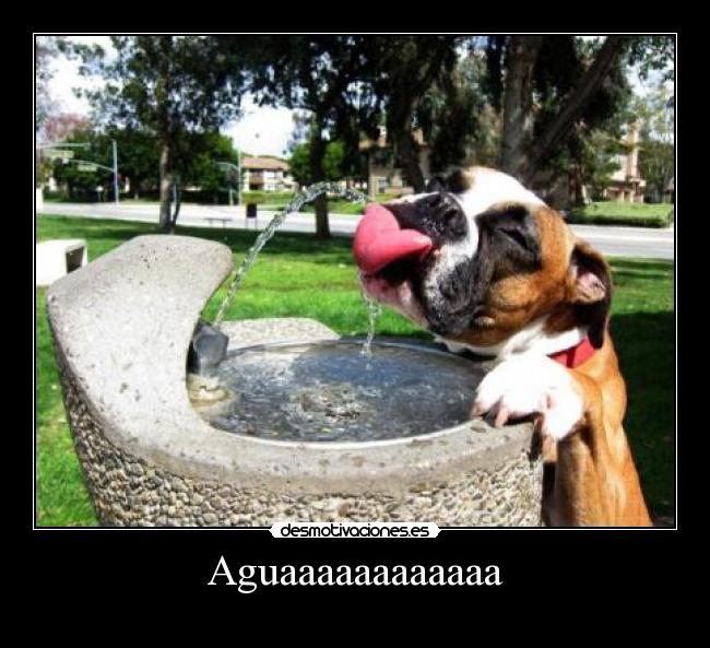 Aguaaaaaaaaaaaa - 