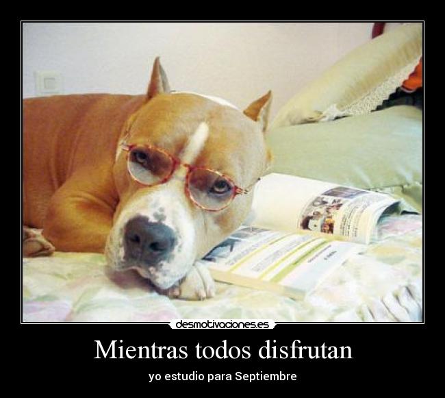 Mientras todos disfrutan - 