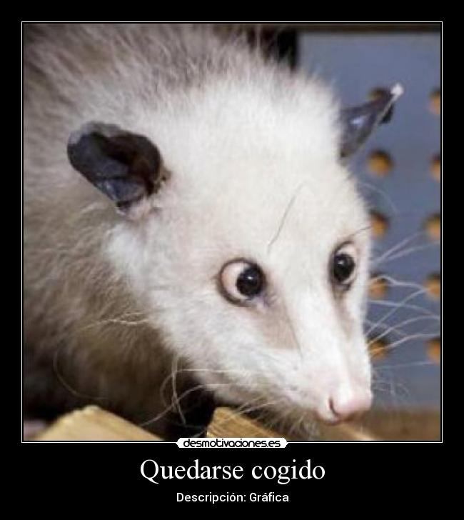 Quedarse cogido - Descripción: Gráfica