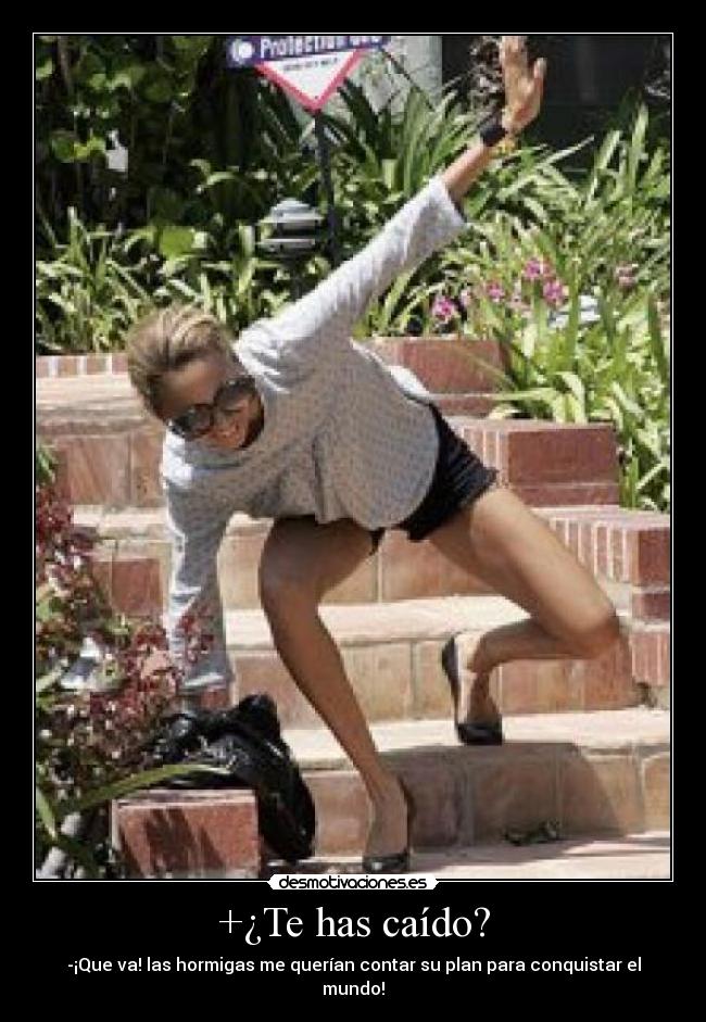 +¿Te has caído? - -¡Que va! las hormigas me querían contar su plan para conquistar el mundo!