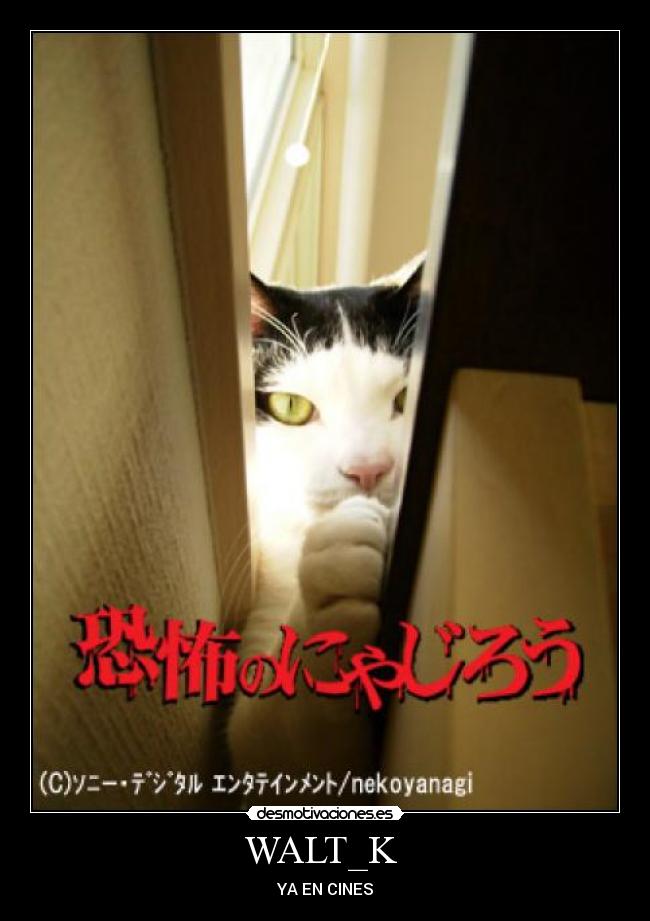 carteles walt_k principal desmotivaciones