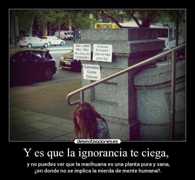 Y es que la ignorancia te ciega,  -  y no puedes ver que la marihuana es una planta pura y sana,
¿en donde no se implica la mierda de mente humana?.