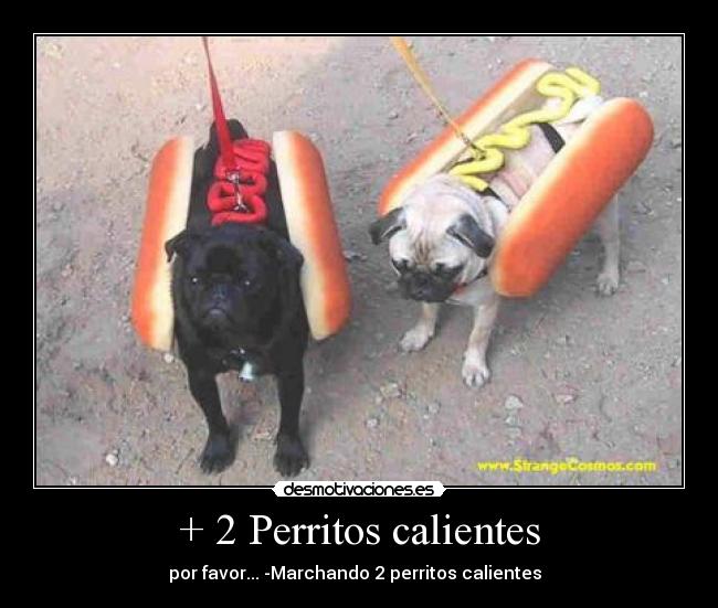 + 2 Perritos calientes - por favor... -Marchando 2 perritos calientes