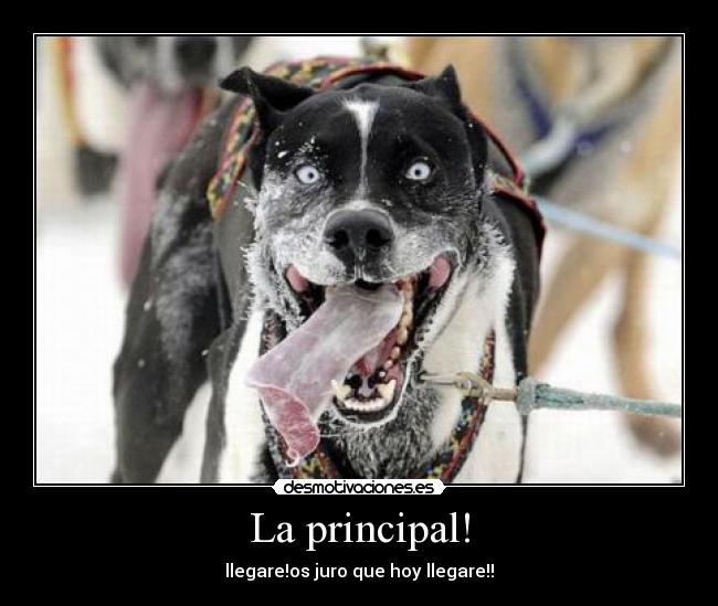 La principal! - llegare!os juro que hoy llegare!!