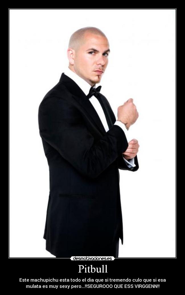 Pitbull -