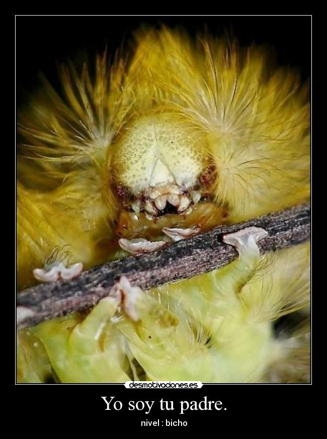 Yo soy tu padre. -