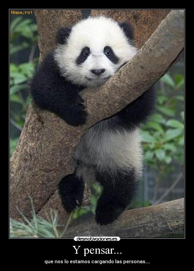 Y pensar... - que nos lo estamos cargando las personas....