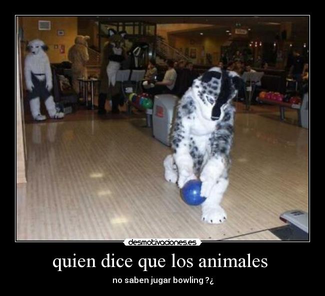 quien dice que los animales  - 