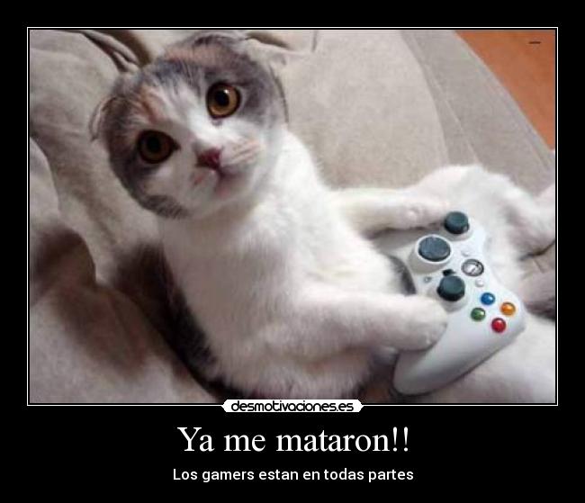 Ya me mataron!! - 