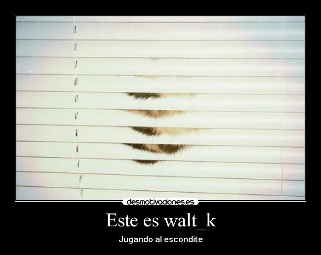 Este es walt_k - 