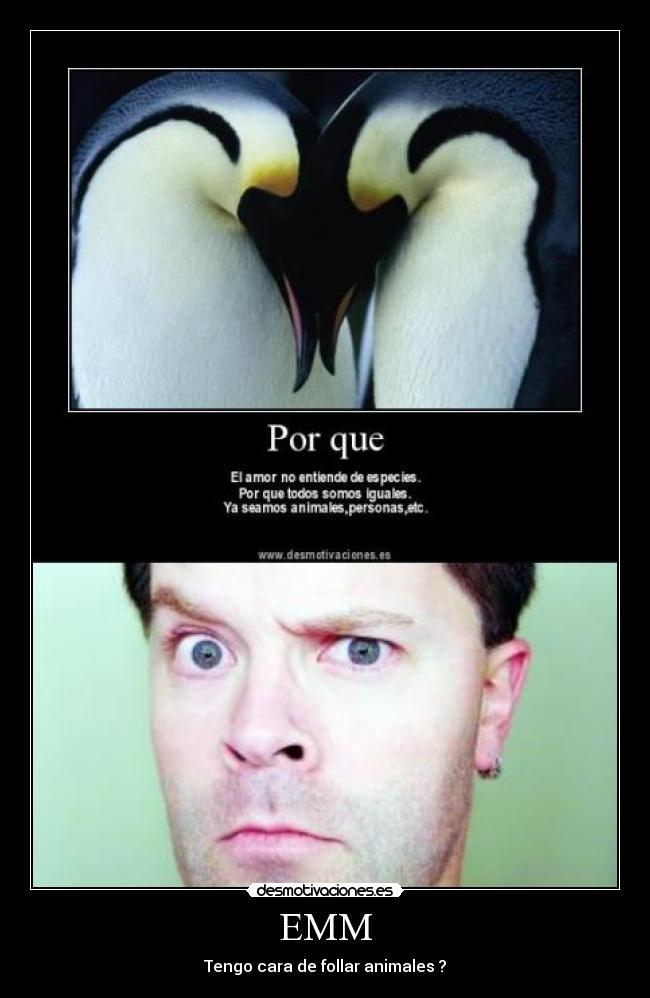 EMM - Tengo cara de follar animales ?