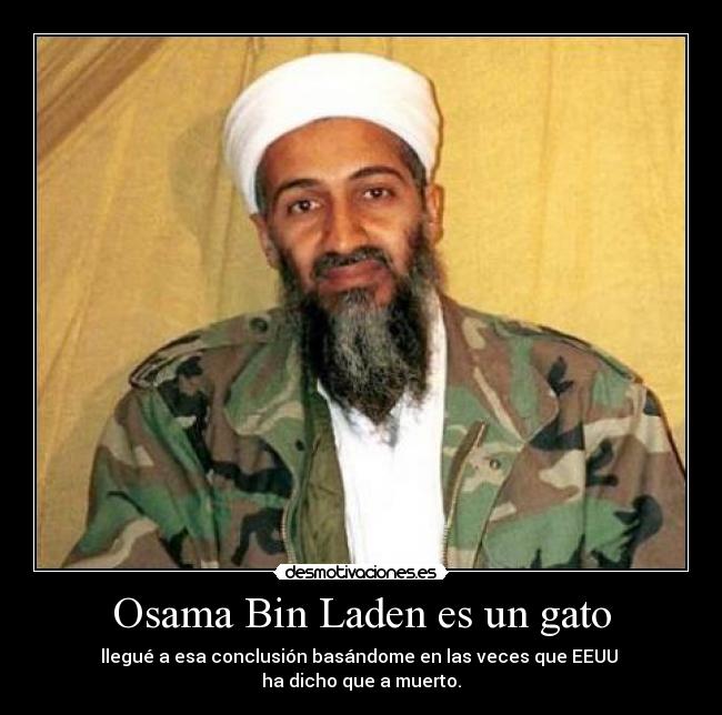 Osama Bin Laden es un gato -