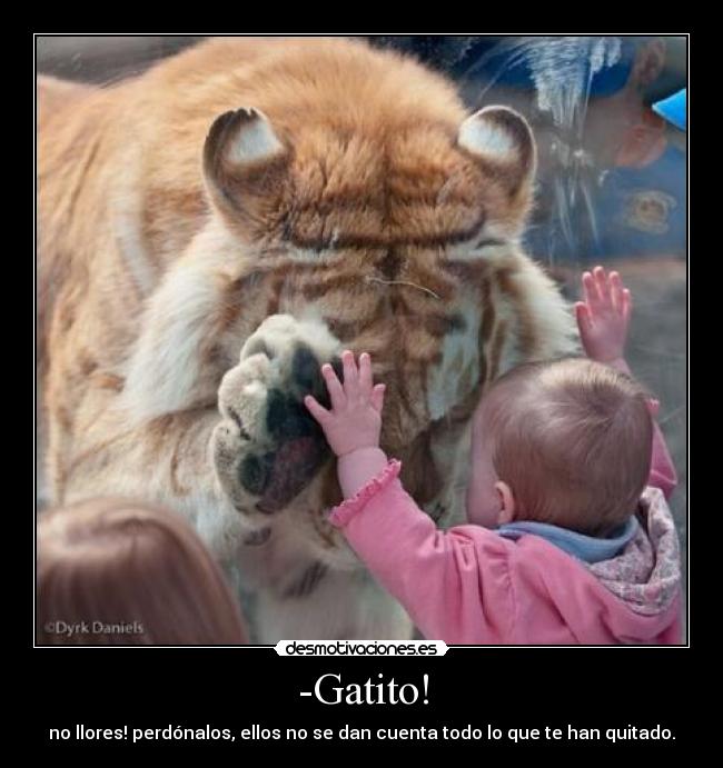 -Gatito! - 