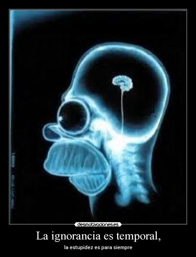 La ignorancia es temporal, -